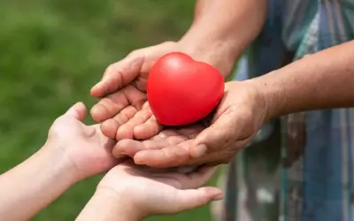 ¿Cómo nace BRISOL (Brigada Solidaria)?