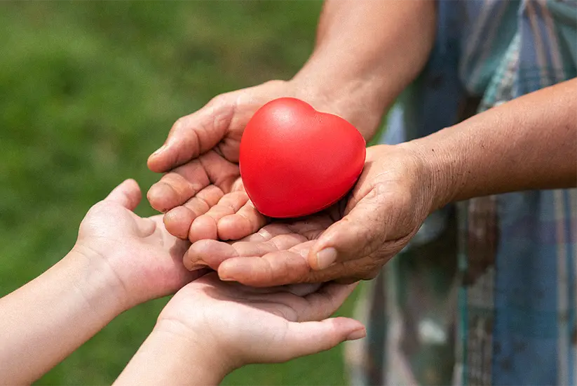 ¿Cómo nace BRISOL (Brigada Solidaria)?